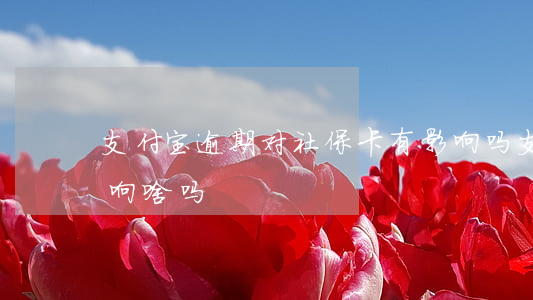 支付宝逾期对社保卡有影响吗 支付宝逾期影响啥吗?