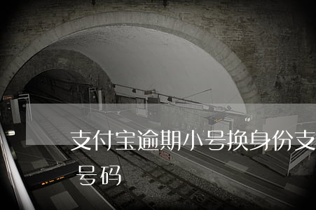 支付宝逾期小号换身份(支付宝逾期三年换个号码)