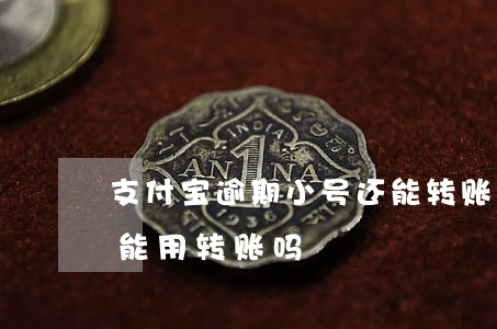 支付宝逾期小号还能转账吗-支付宝逾期还能用转账吗