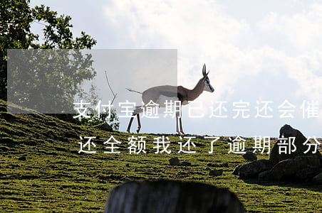 支付宝逾期已还完还会催款吗(支付宝催收说还全额,我还了逾期部分)