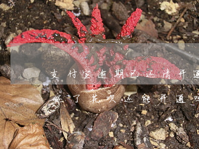 支付宝逾期已还清,开通不了花呗（支付宝逾期还了花呗还能开通吗）