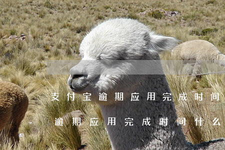 支付宝逾期应用完成时间什么意思-支付宝逾期应用完成时间什么意思啊