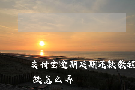 支付宝逾期延期还款教程(支付宝逾期延期还款怎么弄)