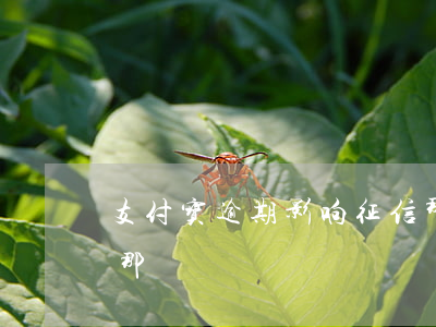 支付宝逾期影响征信那（支付宝逾期影响征信那）