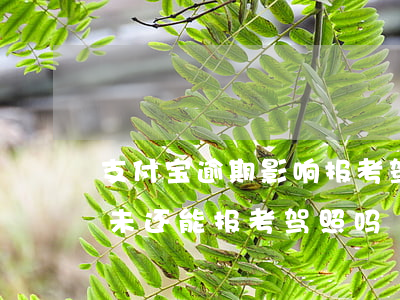 支付宝逾期影响报考驾照吗(支付宝花呗逾期未还能报考驾照吗)