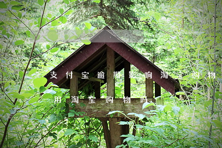 支付宝逾期影响淘宝购物吗 花呗逾期还能使用淘宝购物吗?