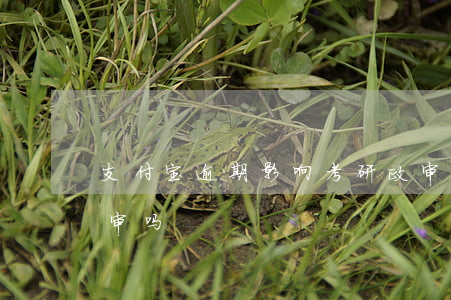 支付宝逾期影响考研政审吗(支付宝会影响政审吗)