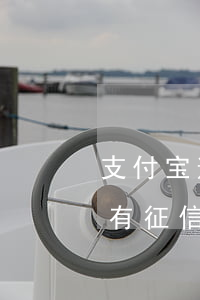 支付宝逾期征信会成黑户吗 支付宝欠多少会有征信黑名单,黑名单对小孩有影响吗