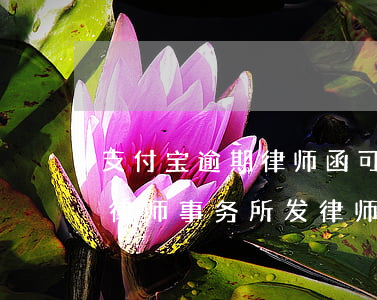 支付宝逾期律师函可以退回吗-支付宝逾期律师事务所发律师函说要起诉