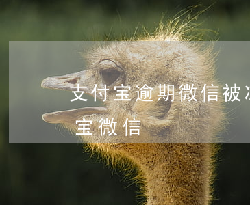 支付宝逾期微信被冻结(逾期多久会冻结支付宝微信)