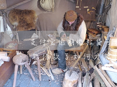 支付宝逾期微粒贷可以用(微粒贷逾期还清不能借款了,如何才能使用)