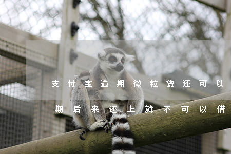 支付宝逾期微粒贷还可以借嘛(微粒贷因为逾期后来还上,就不可以借了)
