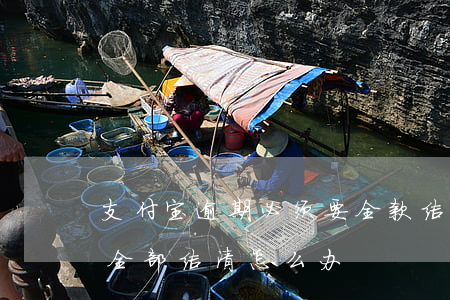 支付宝逾期必须要全款结清吗 支付宝逾期让全部结清怎么办