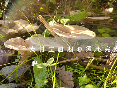 支付宝逾期必须还完（支付宝逾期了还能付款吗）