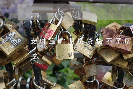 支付宝逾期房贷贷不了（房贷逾期冻结支付宝么）