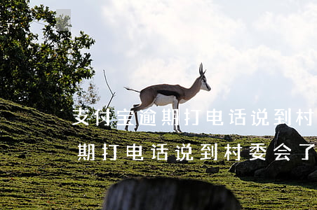 支付宝逾期打电话说到村委会了-支付宝逾期打电话说到村委会了是真的吗