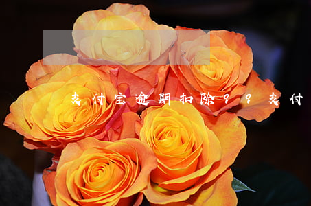 支付宝逾期扣除99 支付宝扣了99