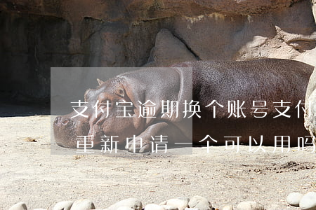 支付宝逾期换个账号(支付宝逾期了换个号码重新申请一个可以用吗)
