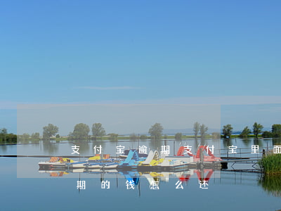 支付宝逾期支付宝里面还能放钱吗 支付宝逾期的钱怎么还