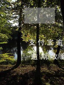 支付宝逾期收到应诉通告是真的吗-支付宝逾期收到诉前通知