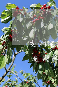 支付宝逾期收到立案短信是真的吗-支付宝逾期收到立案短信是真的吗吗