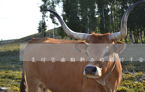 支付宝逾期新办的银行卡会扣吗-