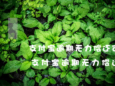 支付宝逾期无力偿还可以免利息还本金吗-支付宝逾期无力偿还可以免利息还本金吗