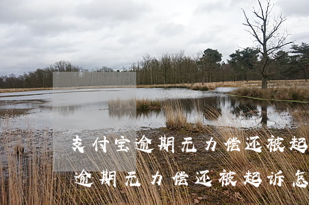 支付宝逾期无力偿还被起诉怎么办-支付宝逾期无力偿还被起诉怎么办呢