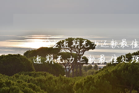 支付宝逾期无力还款最佳处理方法-支付宝逾期无力还款最佳处理方法