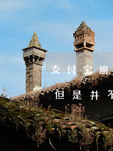 支付宝逾期无法再还款(支付宝逾期无力偿还但是并不是不想还)