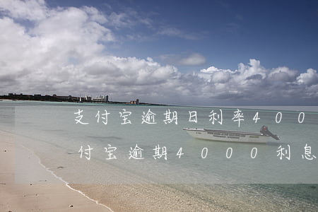 支付宝逾期日利率4000一个月是多少（支付宝逾期4000利息多少）
