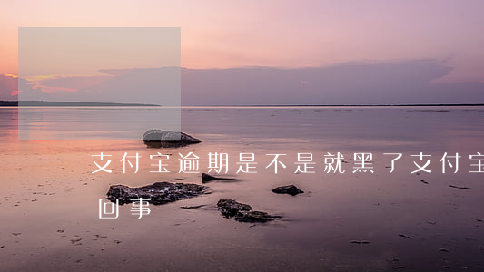 支付宝逾期是不是就黑了(支付宝逾期是怎么回事)