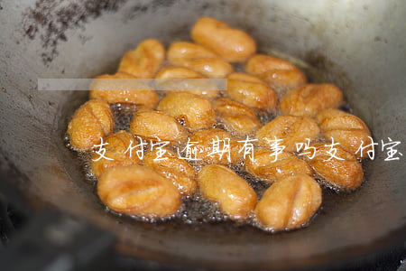 支付宝逾期有事吗（支付宝有逾期指什么）