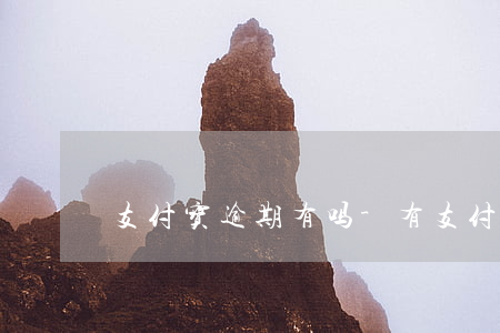 支付宝逾期有吗-有支付宝逾期的吗