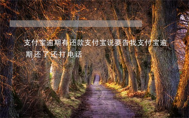 支付宝逾期有还款支付宝说要告我 支付宝逾期还了还打电话