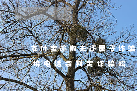 支付宝逾期未还属于诈骗吗 支付宝逾期了不接电话会判定诈骗吗