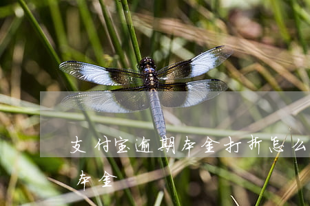 支付宝逾期本金打折怎么算（支付宝逾期超过本金）