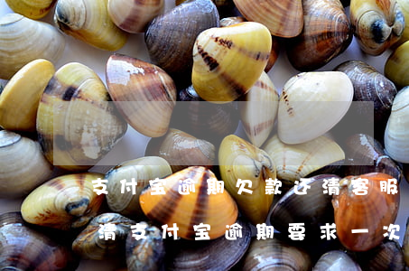 支付宝逾期欠款还清客服要把剩下的一次结清（支付宝逾期要求一次还清欠款）