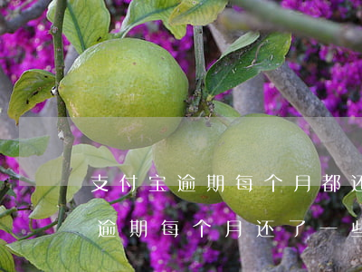 支付宝逾期每个月都还会被起诉吗-支付宝逾期每个月还了一些还会被起诉吗