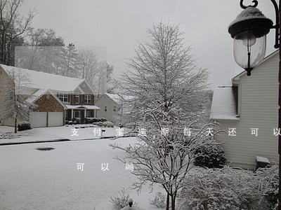 支付宝逾期每天还可以吗（支付宝逾期每天还可以吗）