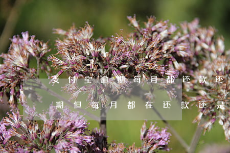 支付宝逾期每月都还款还会起诉吗(支付宝逾期但每月都在还款,还是会被起诉吗)