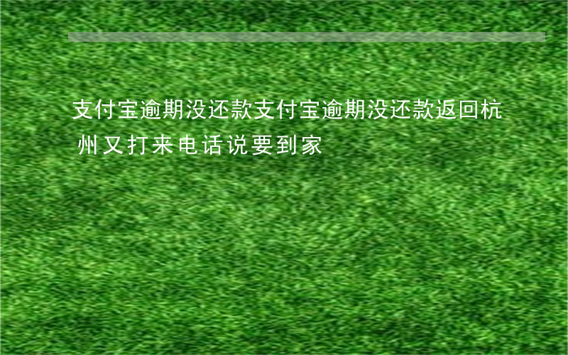 支付宝逾期没还款(支付宝逾期没还款返回杭州又打来电话说要到家)