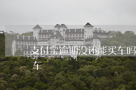 支付宝逾期没还能买车吗 支付宝逾期买不了车
