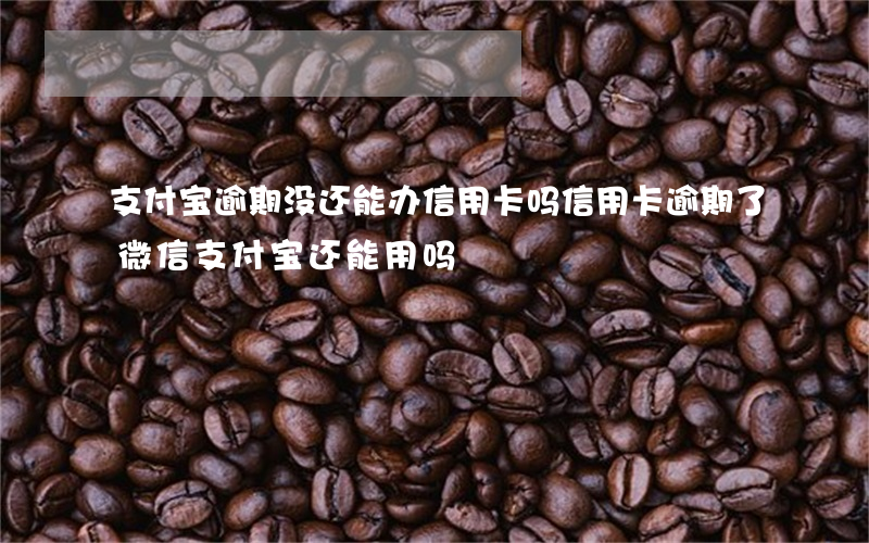 支付宝逾期没还能办信用卡吗（信用卡逾期了微信支付宝还能用吗）
