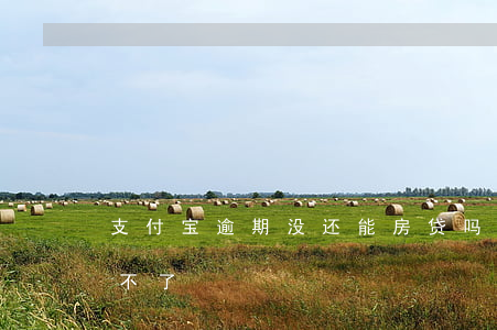 支付宝逾期没还能房贷吗(支付宝逾期房贷贷不了)