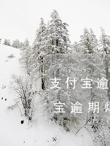 支付宝逾期爆通讯录,我去哪里可以投诉（支付宝逾期爆通讯录合法吗）