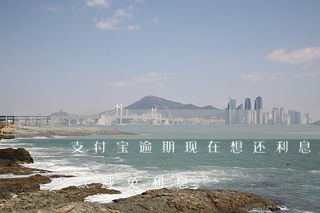 支付宝逾期现在想还利息挺高(支付宝逾期还款减免利息)