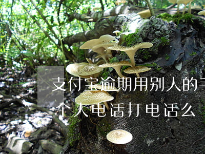 支付宝逾期用别人的手机号(支付宝逾期会用个人电话打电话么)