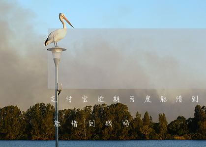 支付宝逾期百度能借到钱吗 支付宝逾期百度能借到钱吗