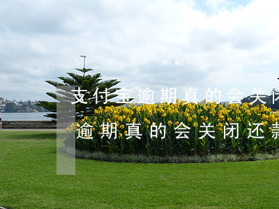支付宝逾期真的会关闭还款通道么-支付宝逾期真的会关闭还款通道么吗